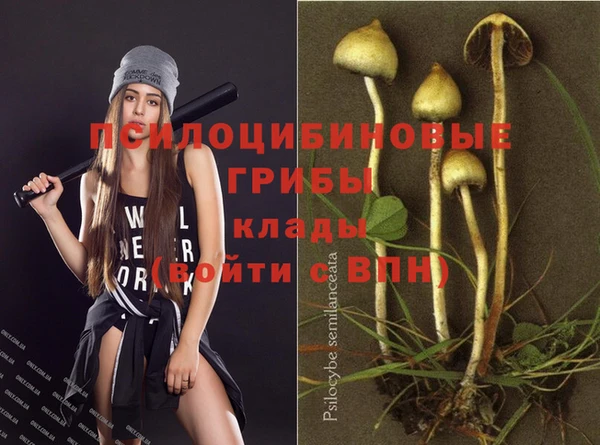 Альфа ПВП Армянск