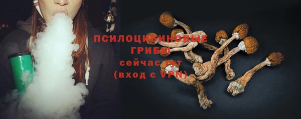 Альфа ПВП Армянск